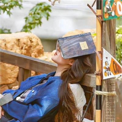 我辈自有凌云志